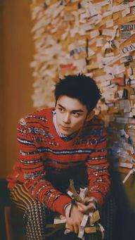 娱乐圈爆料新闻李现,娱乐圈再掀波澜  第3张